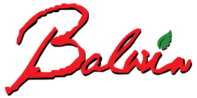 The Balwin Properties Ecosystem | Balwin Properties