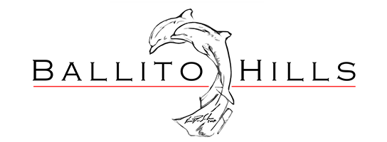 ballito-hills