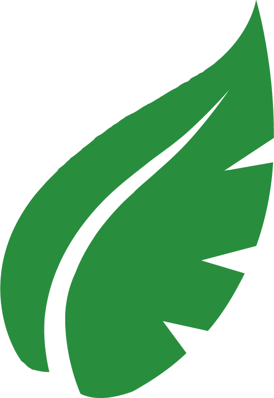 Balwin Leaf Balwin Leaf